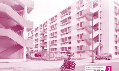 Báo in ngày 24-5: Đắng chát những cuộc tình xuyên biên giới