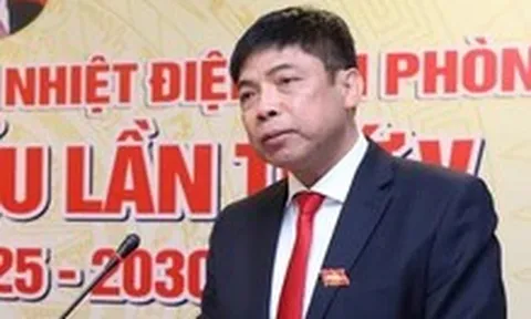 Thêm lãnh đạo doanh nghiệp điện bị khởi tố, bắt tạm giam