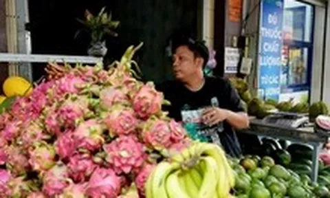 Nhiều loại trái cây 'rẻ như cho', nhà vườn lại 'khóc ròng'