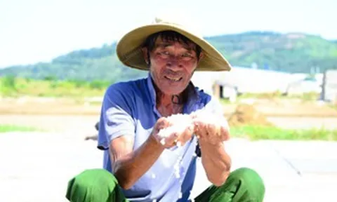 Nông dân đẫm mồ hôi mưu sinh trên đồng ruộng nắng như đổ lửa hơn 40 độ C