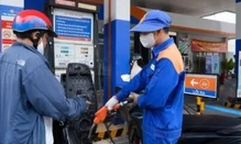Mong triển khai xăng E10 theo lộ trình linh hoạt hơn, hài hòa lợi ích môi trường và nhu cầu sử dụng