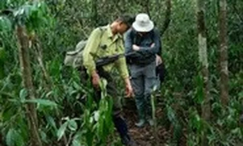 Tour lạ ở Cát Tiên: Du khách theo kiểm lâm tuần tra, ngủ giữa rừng sâu