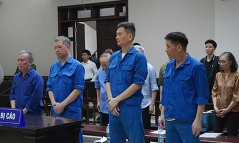 Vụ tháp nghìn tỷ bỏ hoang ở Hà Nội: Cựu Chủ tịch HĐTV VICEM được đề nghị giảm án