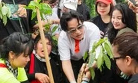 Hà Anh Tuấn cùng 1.000 khán giả lội bùn gieo mầm xanh giữa đầm Vân Long