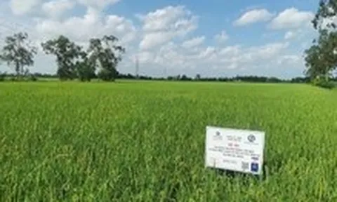 Thúc đẩy chuyển đổi xanh trong nông nghiệp