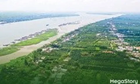 Cù Lao Giêng - vùng đất phù sa thức giấc giữa dòng sông Tiền