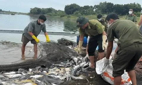 Cận cảnh thu gom, xử lý hơn 100 tấn cá chết ở hồ Trị An