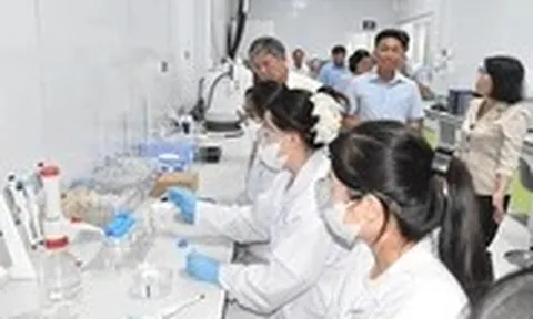 Nghịch lý sầu riêng miền Tây: Vùng nguyên liệu tỉ đô thiếu phòng kiểm nghiệm