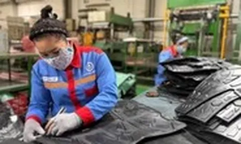 Chinh phục thị trường khó tính với sản phẩm xanh – bền vững
