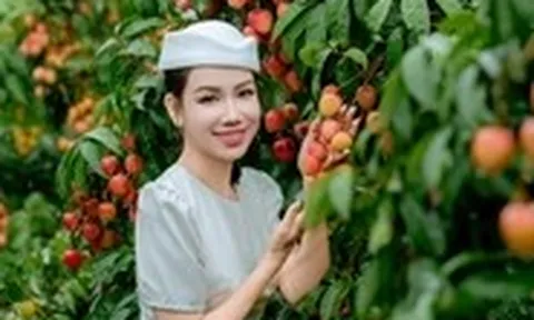 Giá vải thiều tăng mạnh chưa từng có