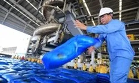 Kiến nghị bỏ một số thủ tục cấp phép trong quản lý phân bón