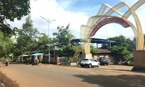 Gia Lai: Nhiều diện tích đất công cho thuê sai quy định