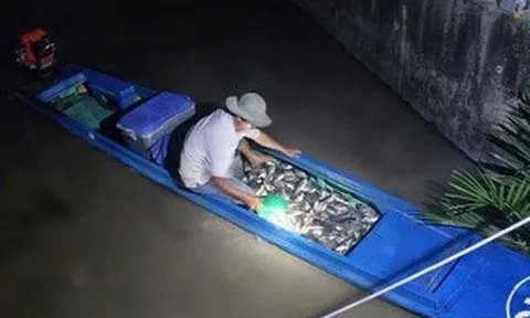 Xử lý người đàn ông bắt cá "kiểu tận diệt" ở khu vực Tắc Bến Rô, TPHCM