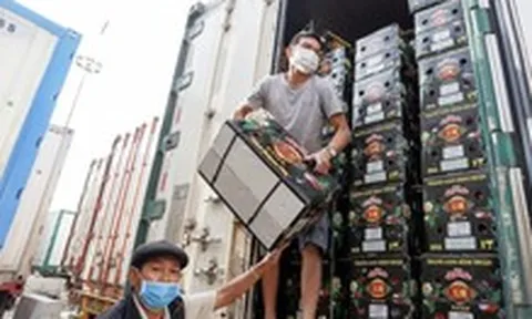 Gian lận thương mại thời AI: Cảnh báo cho doanh nghiệp xuất khẩu