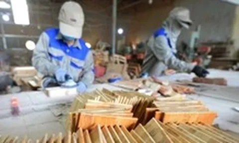Bộ Nông nghiệp và Môi trường nói gì về phản ánh hồ sơ chứng minh nguồn gốc gỗ chồng chéo