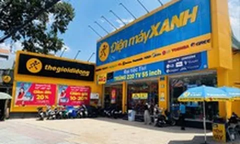 Dragon Capital muốn rót hơn 1.300 tỉ đồng vào thương vụ IPO Điện Máy Xanh