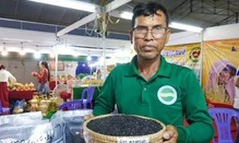 Sâm Tiến Vua, nước mắm Phú Quốc, gạo hữu cơ Campuchia và nhiều đặc sản hội tụ về vùng Bảy Núi