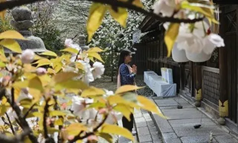 Giữa Kyoto, như nghe thời gian thở
