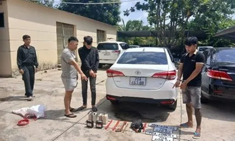Bắt giữ 9 kẻ trong đường dây 'cẩu tặc', thu giữ dàn ô tô và 105 con chó