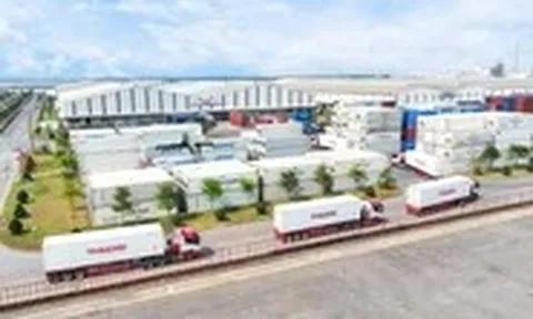 THILOGI từng bước hoàn thiện chuỗi cung ứng lạnh