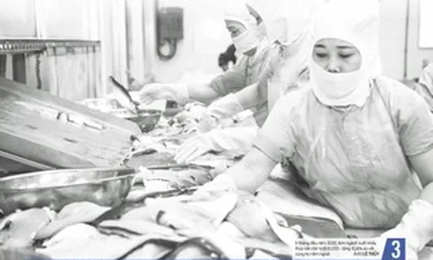 Báo in ngày 8-6: Tổ chức kỳ thi tốt nghiệp THPT an toàn, nghiêm túc