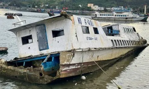 Những con tàu tiền tỉ kẹt lại ở Lý Sơn