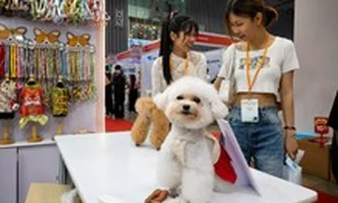 Boss mèo giờ có cả phòng vệ sinh gắn camera AI