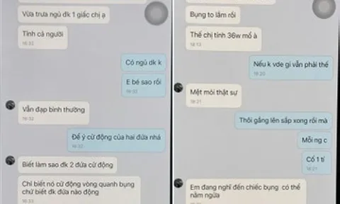 Người phụ nữ 28 tuổi cầm đầu đường dây mang thai hộ
