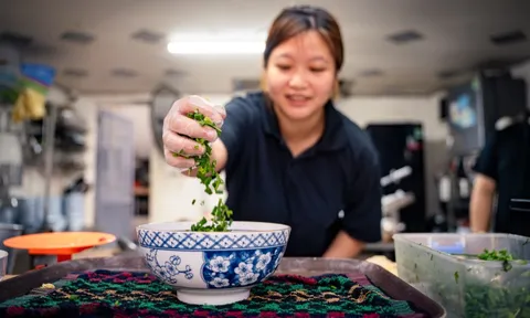 Cô gái nghỉ việc văn phòng, kế thừa quán phở hơn 100 tuổi của gia đình