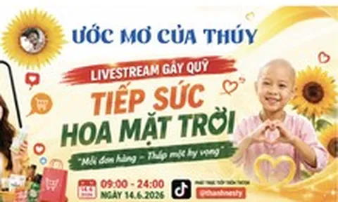 Hôm nay Mega livestream trên Tiktok: Mua hàng vui giá hời, nhận quà, giúp bệnh nhi ung thư