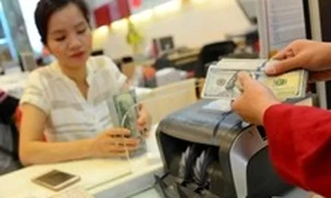 Giữ chân vốn ngoại: Cần công cụ phòng vệ tỉ giá?
