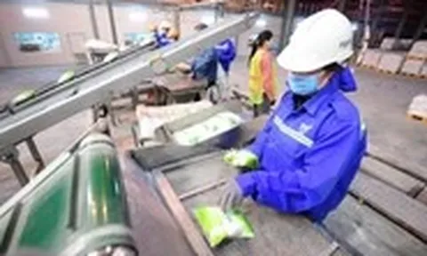 Phía sau một hạt đường là cả một hành trình