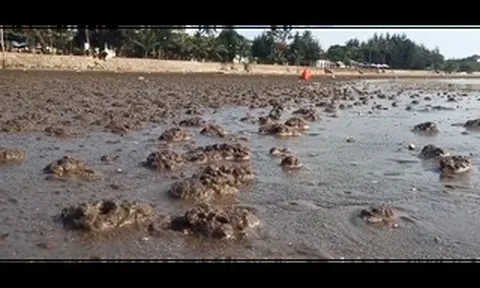 Người đàn ông bị sét đánh tử vong ở bãi biển Đồ Sơn