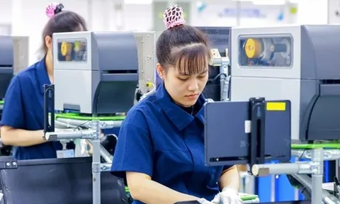 Nhập siêu lớn: vì sao?