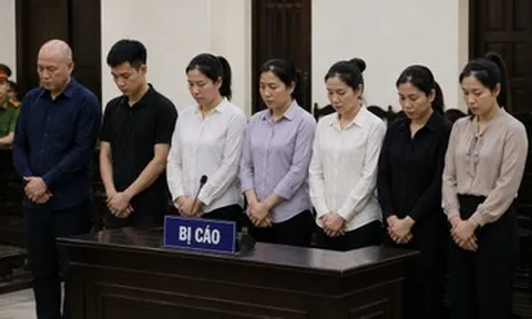 Lật tẩy âm mưu mua 3 trẻ em đưa sang Mỹ của Việt kiều Mỹ