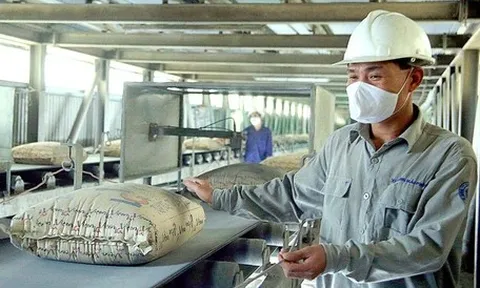 Nhập siêu lớn nhưng nhiều mặt hàng xuất khẩu nổi lên khi nhà mua hàng 'săn đón'