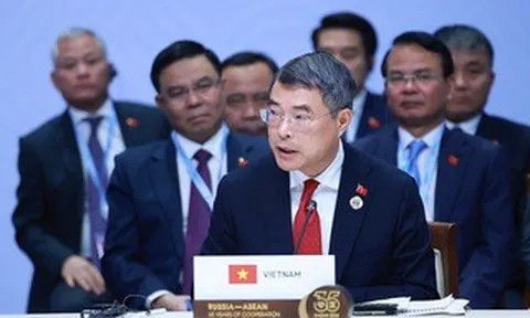 ASEAN - Nga kiến tạo môi trường ổn định, bền vững