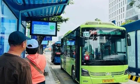 Lý do tuyến xe buýt trung tâm TPHCM đi Vũng Tàu không được miễn vé từ ngày 1/7