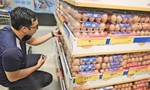 Giá trứng gà tăng trở lại, nhưng người chăn nuôi vẫn đang lỗ