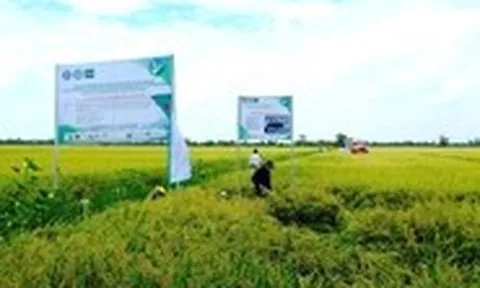 Hộ kinh doanh sắp được hỗ trợ lãi suất 2% khi đầu tư dự án xanh