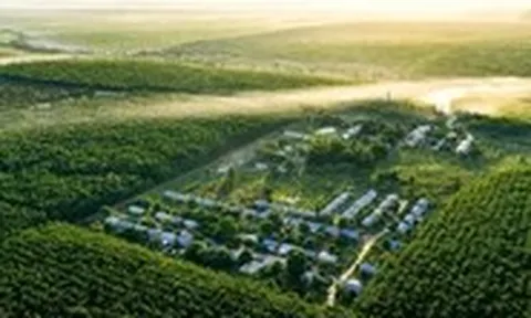 VRG bước vào chu kỳ tăng trưởng mới bằng đổi mới và phát triển xanh