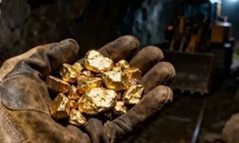 Đại gia đào vàng lớn nhất Việt Nam sắp trả cổ tức tỷ lệ 90,5%