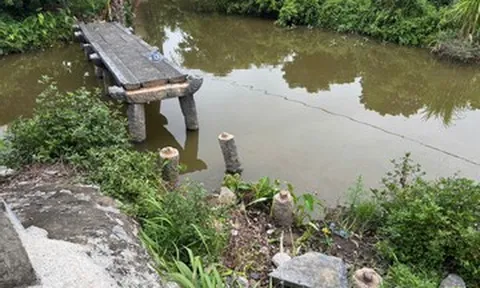 Các phiến đá cầu cổ hơn 100 năm tuổi ở Hải Phòng bị lấy cắp, phi tang ra sao?