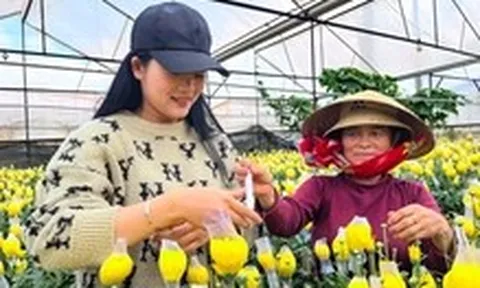 Nông nghiệp chữa lành