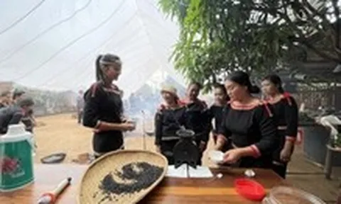 Đắk Lắk thực hiện chiến lược 'thủ phủ cà phê ngon nhất thế giới'