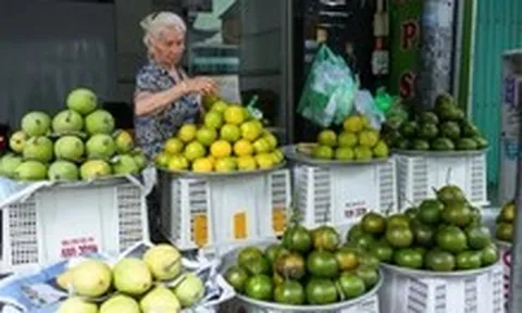 Thị trường TP.HCM ngày 26-6: Giá thịt heo giảm nhẹ,  rau củ Trung Quốc về chợ nhiều