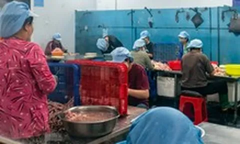 Đồng Nai phát hiện hơn 7 tấn chân gà đông lạnh quá hạn, không rõ nguồn gốc xuất xứ