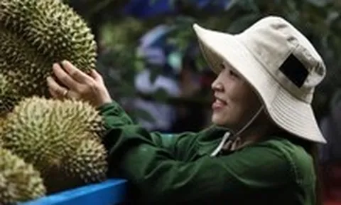 Muốn hút đầu tư vào nông nghiệp công nghệ cao, Đắk Lắk phải dỡ các 'rào cản'