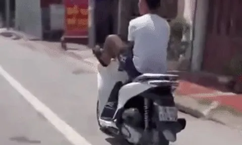 Lái xe SH bằng chân, nam thanh niên ở Ninh Bình bị tịch thu xe