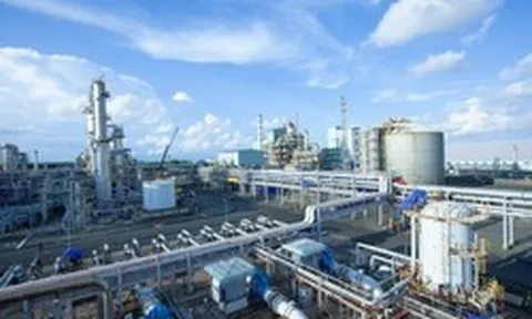 Một doanh nghiệp phân bón sắp trả cổ tức hơn 1.000 tỷ đồng, nửa đầu năm thu hơn 11.800 tỷ